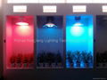 40w-300w induction plant growth light of red and blue 5