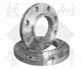 Steel Slip On Flanges