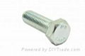 Hex Head Bolts 1