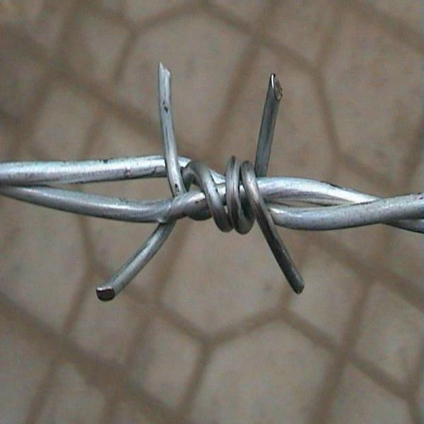 barbed  wire  3