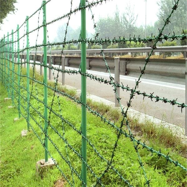 barbed  wire  5