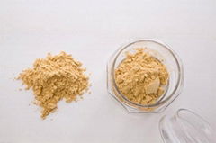 Mature Vinegar Powder