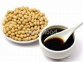 Soy Sauce Powder 2