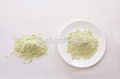 Wasabi Powder