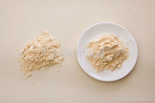 Garlic Powder 3