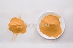 natural pickle powder