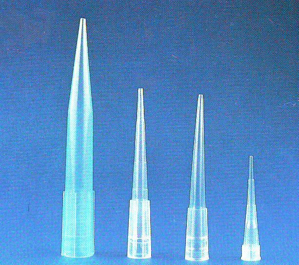 Pipette Tip & Transfer Pipette 2