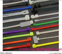 Nylon cable tie