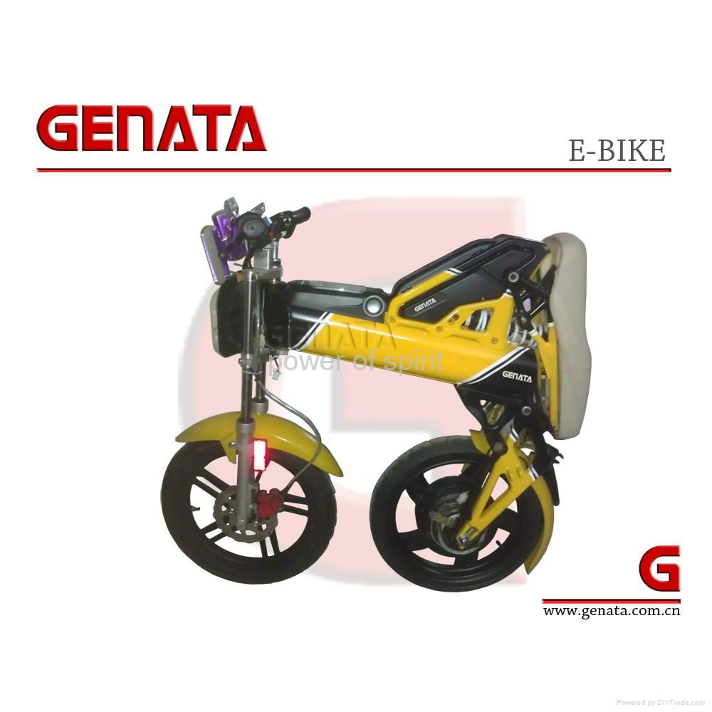 EEC Foldable Electric Bike (GM890E)