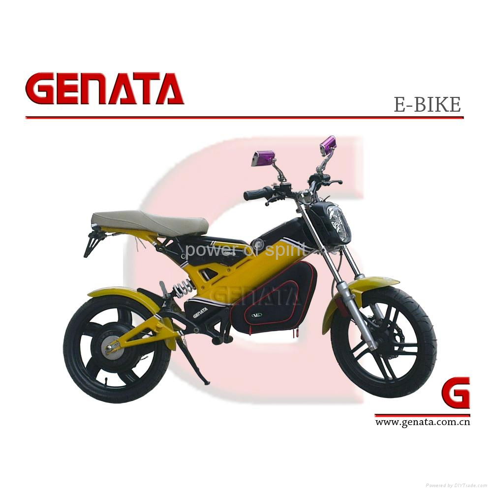 EEC Foldable Electric Bike (GM890E) 2