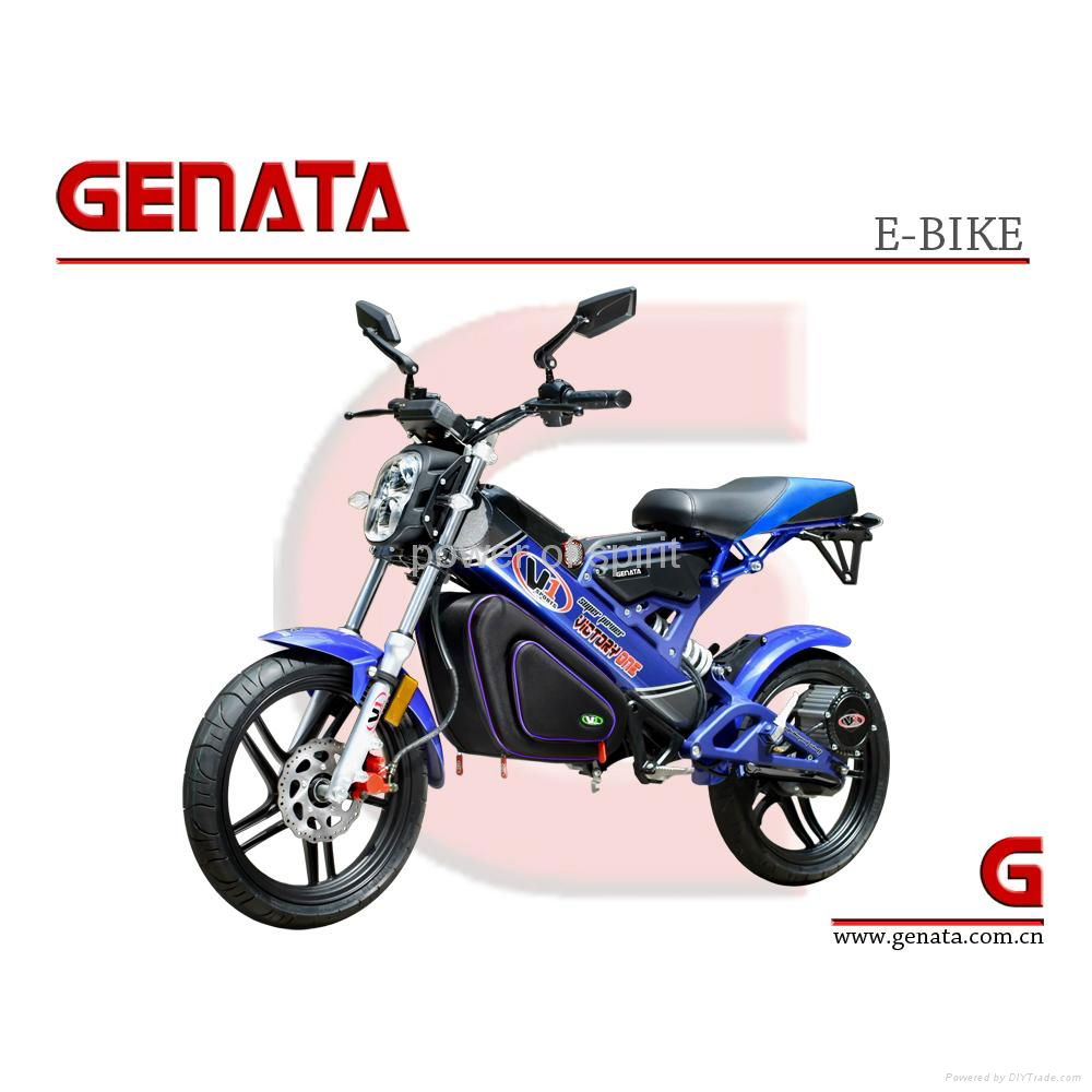 EEC Foldable Electric Bike (GM890E) 3