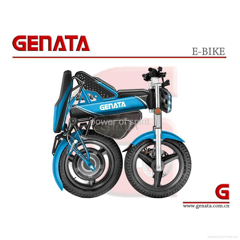 EEC Foldable Electric Bike (GM890E) 4