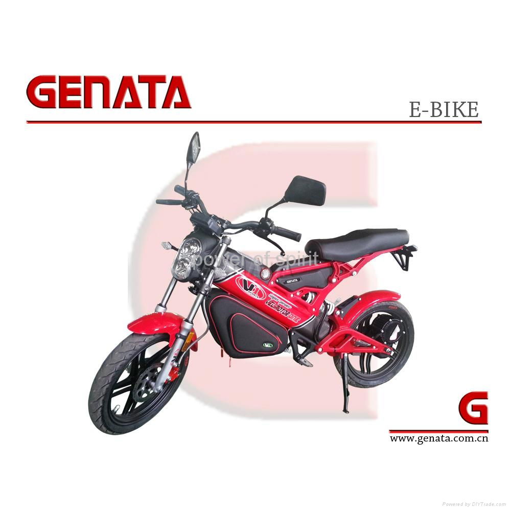 EEC Foldable Electric Bike (GM890E) 5