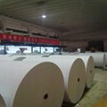 75g 8.5*11'' Copy Paper (eastern dragon paper) 1