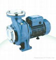 Centrifugal Pumps 1