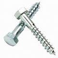 Self-Tapping Screw 1