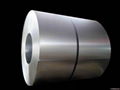 Stainless Steel Coil