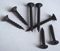 Drywall Screws