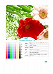 Composite Double Sides printing Film