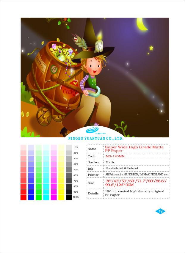 High grade glossy PP Paper 2