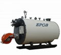 Professional Oil fired boiler