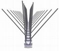 Stainless steel bird spikes on