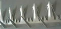 Wall Spikes made from stainless steel or galvanized steel plate 1