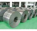 hot dip galvanized steel coil DX51D+Z