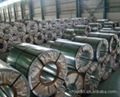 ppgi color coated steel coil  5