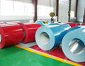 ppgi color coated coil manufacturer  4