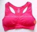 women's seamless sport bra
