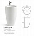 7001  Pedestal Basin 1