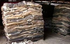 Dry and wet salted cow hides for sale