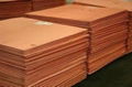 High grade 99.99% Electrolytic Copper Cathodes 1