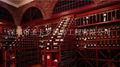 Wine cellar 1