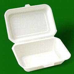 environmental protection pulp box