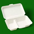 environmental protection pulp box 2