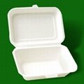 environmental protection pulp box 4