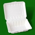 environmental protection pulp box 5