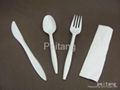 Plastic Cutlery Set 1