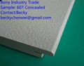 Fiberglass Ceiling Tiles 3