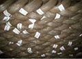 galvanized iron wire 2