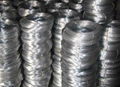 galvanized iron wire 3