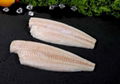 Yellowfin sole fillet