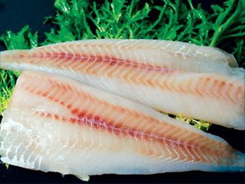 Alaska Pollock fillet 3