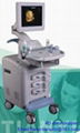 4D-Color doppler ultrasound scanner 1