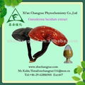 100% natural organic Ganoderma Lucidum