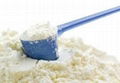 Skimmed Milk Powder