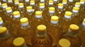 Refined Soybean Oil