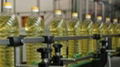 Refined Corn Oil